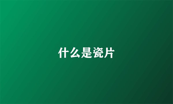 什么是瓷片