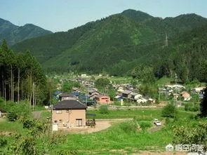 农业人才缺少
