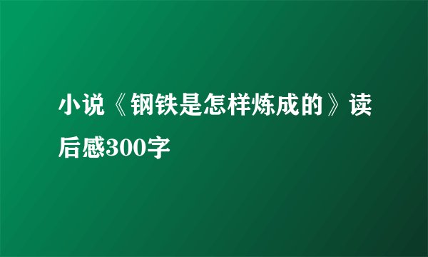 小说《钢铁是怎样炼成的》读后感300字