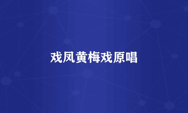 戏凤黄梅戏原唱