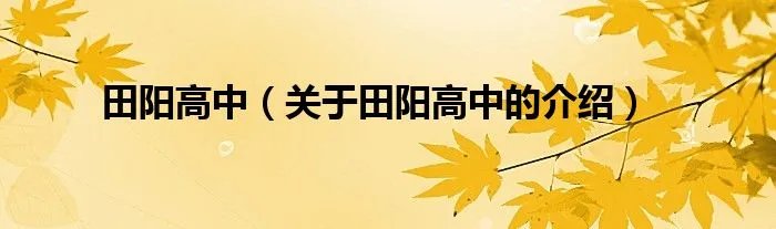 田阳高中（关于田阳高中的介绍）