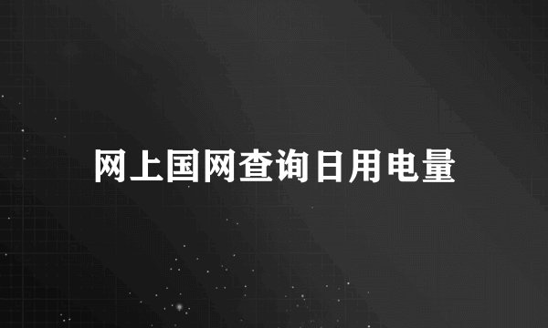 网上国网查询日用电量