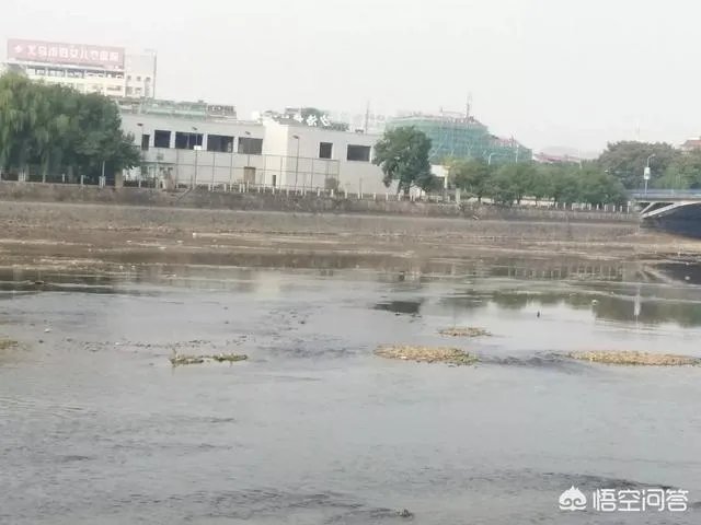 上海打算申办2032年奥运会,对此你怎么看?