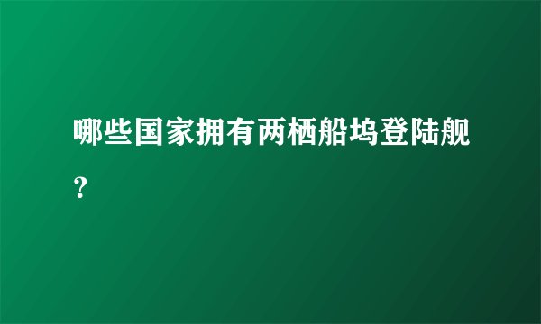 哪些国家拥有两栖船坞登陆舰？