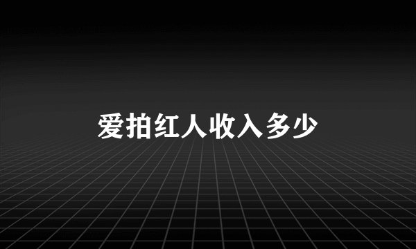 爱拍红人收入多少