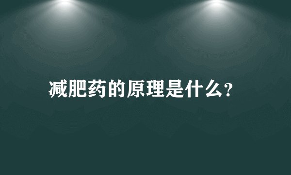减肥药的原理是什么?