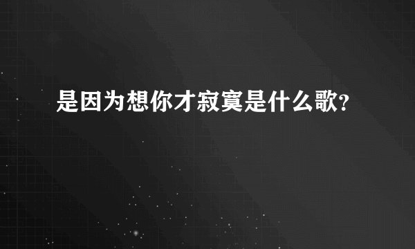 是因为想你才寂寞是什么歌?