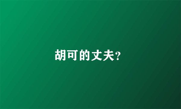 胡可的丈夫？