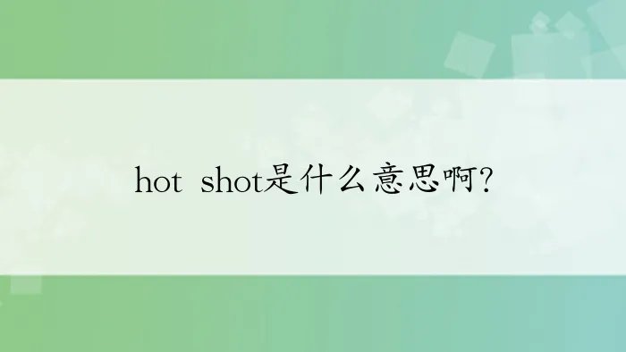 hot shot是什么意思啊?