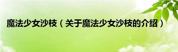 魔法少女沙枝（关于魔法少女沙枝的介绍）