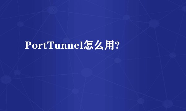 PortTunnel怎么用?