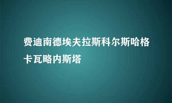 费迪南德埃夫拉斯科尔斯哈格卡瓦略内斯塔