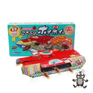 蟑螂屋推荐