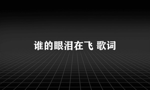 谁的眼泪在飞 歌词
