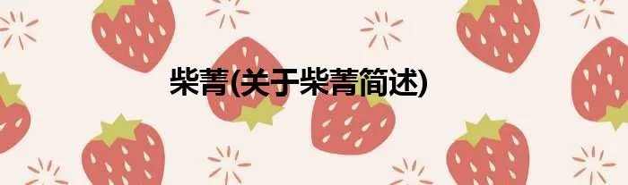 柴菁(关于柴菁简述)
