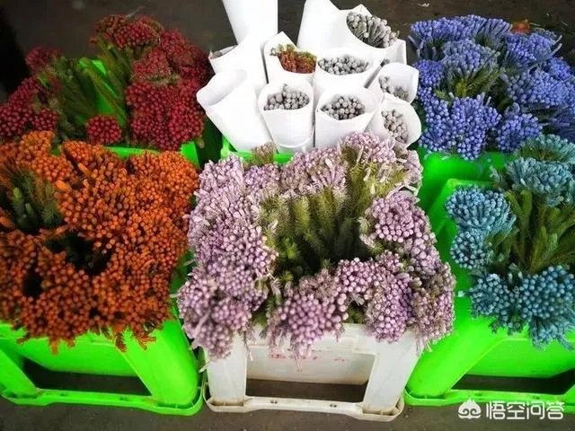 云南有哪些大的鲜花市场?