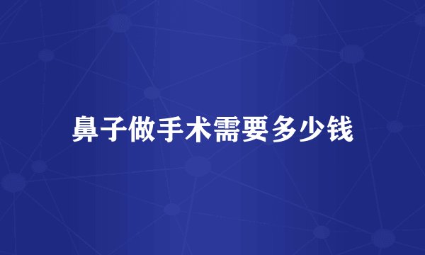 鼻子做手术需要多少钱