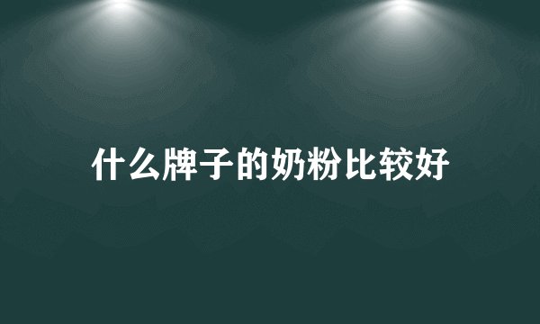 什么牌子的奶粉比较好
