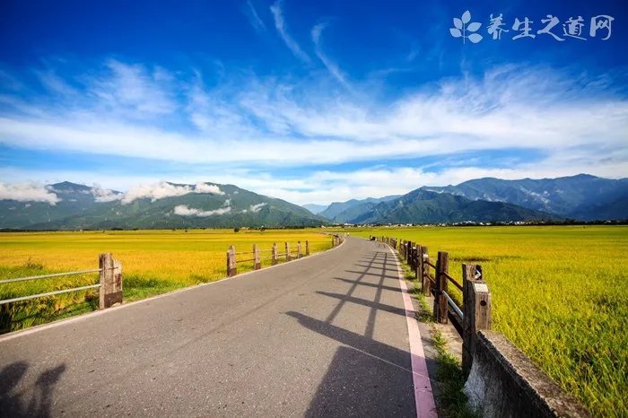 清明节晚上能不能烧纸钱