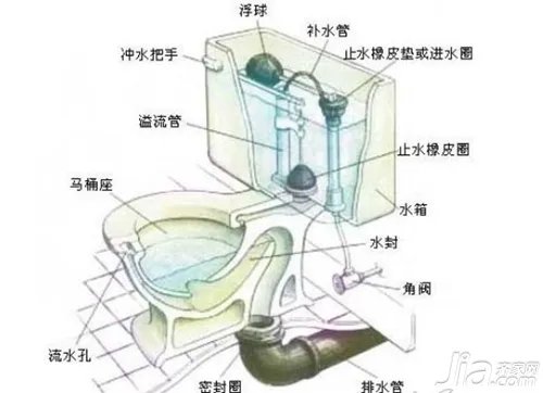 抽水马桶结构图 抽水马桶结构分析
