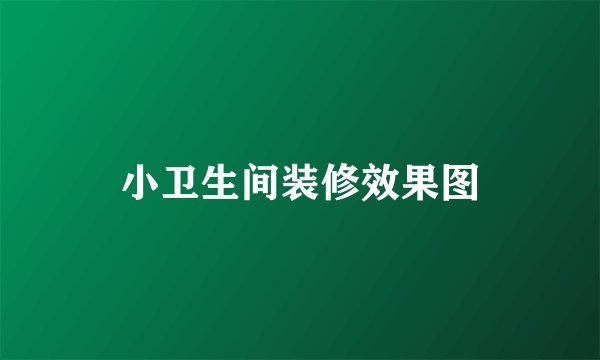 小卫生间装修效果图