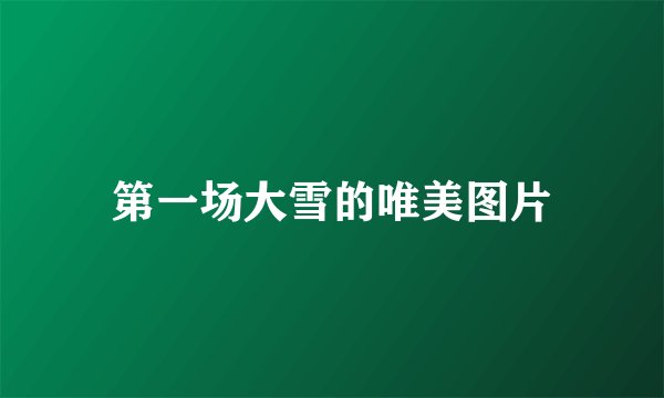 第一场大雪的唯美图片
