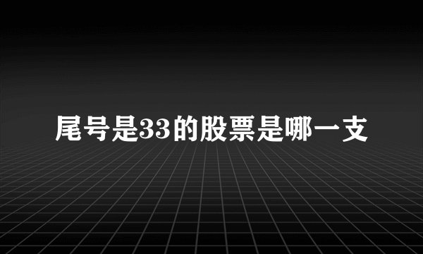 尾号是33的股票是哪一支