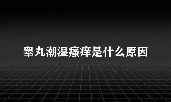 睾丸潮湿瘙痒是什么原因