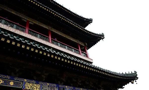 天津为什么多美女?