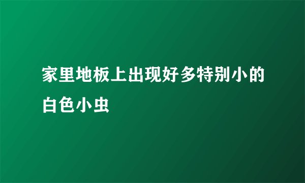 家里地板上出现好多特别小的白色小虫