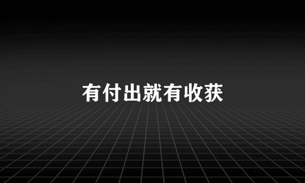 有付出就有收获