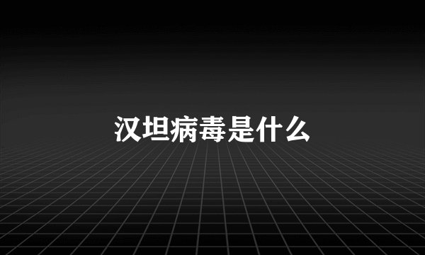 汉坦病毒是什么