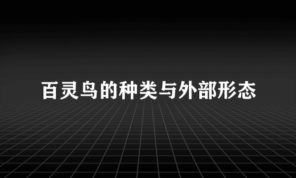 百灵鸟的种类与外部形态
