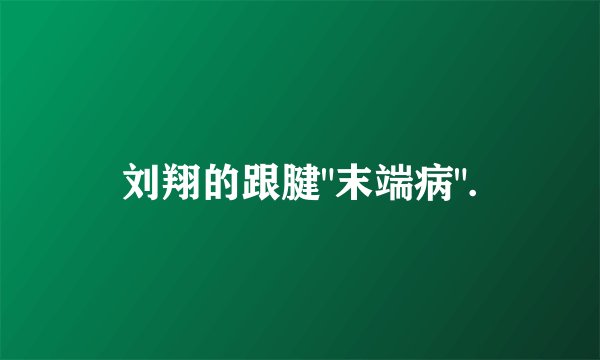 刘翔的跟腱