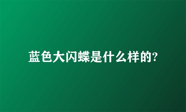 蓝色大闪蝶是什么样的?