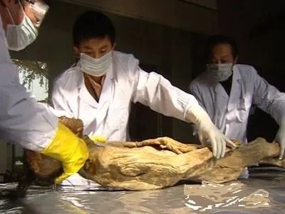 走近科学里的