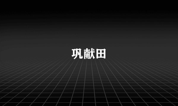 巩献田