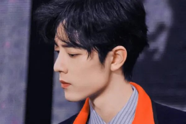 肖战没去跨年演唱会是为什么呢?