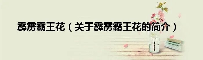 霹雳霸王花（关于霹雳霸王花的简介）