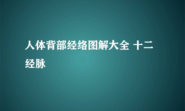 人体背部经络图解大全 十二经脉