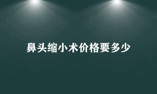 鼻头缩小术价格要多少