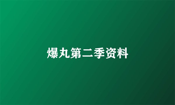 爆丸第二季资料