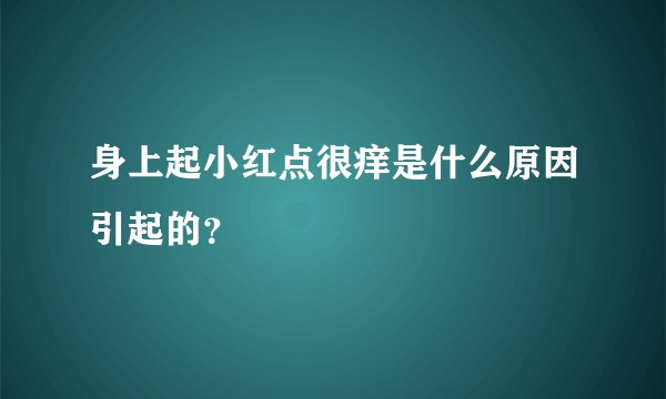 身上起小红点很痒是什么原因引起的？