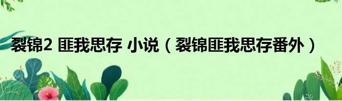 裂锦2 匪我思存 小说（裂锦匪我思存番外）