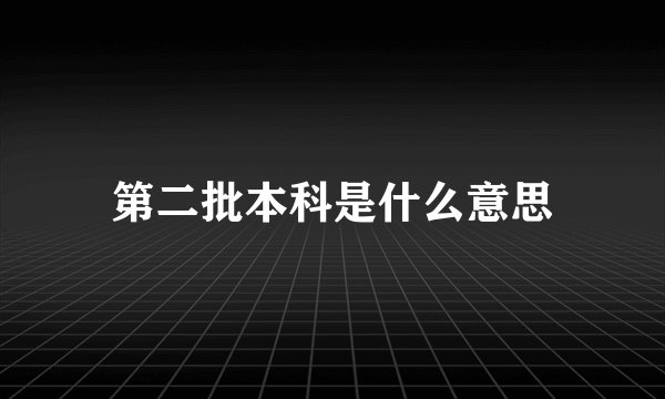 第二批本科是什么意思
