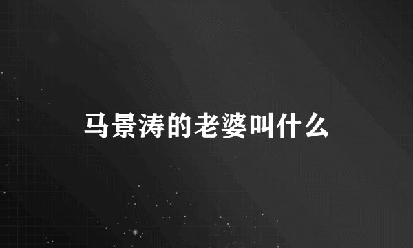 马景涛的老婆叫什么