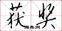 获奖