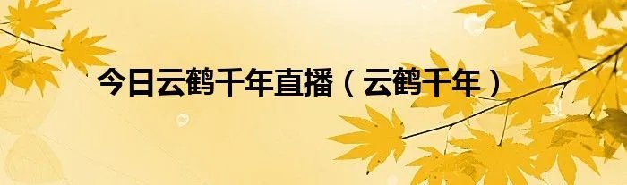 今日云鹤千年直播(云鹤千年)