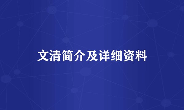 文清简介及详细资料