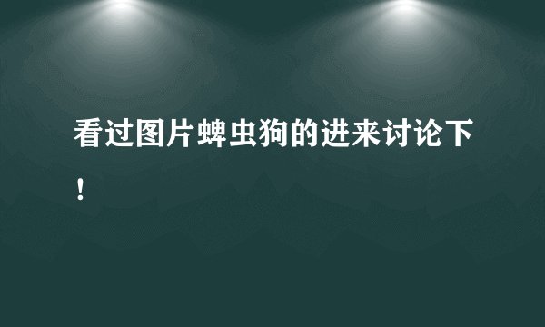 看过图片蜱虫狗的进来讨论下！